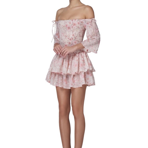 NWT ADEIRLINA Eleonora Mini Dress - Picture 5 of 6